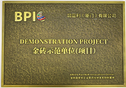 BRICS Demonstration Project