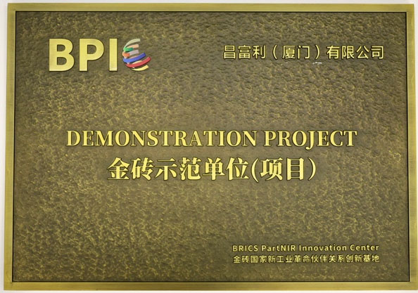 BRICS Demonstration Project
